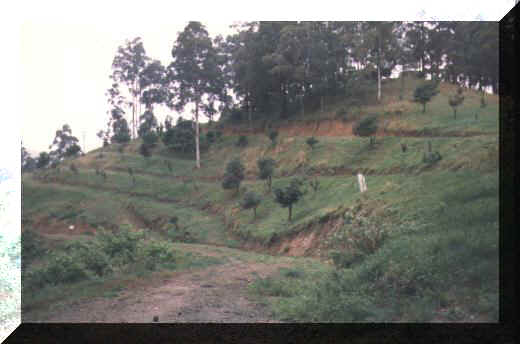 Gyalwa Ensapa property